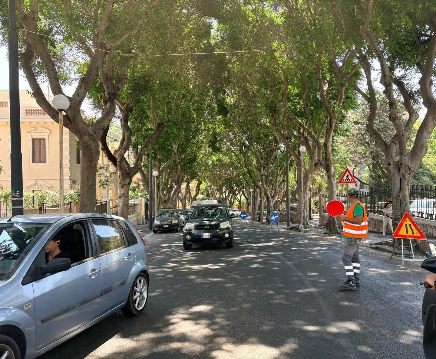 Potature in viale Merello, viabilità in tilt