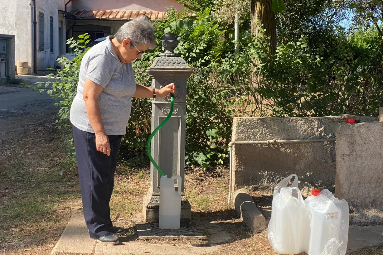Foto simbolica (Fiori)