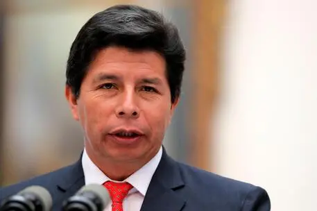 Pedro Castillo (foto Ansa)