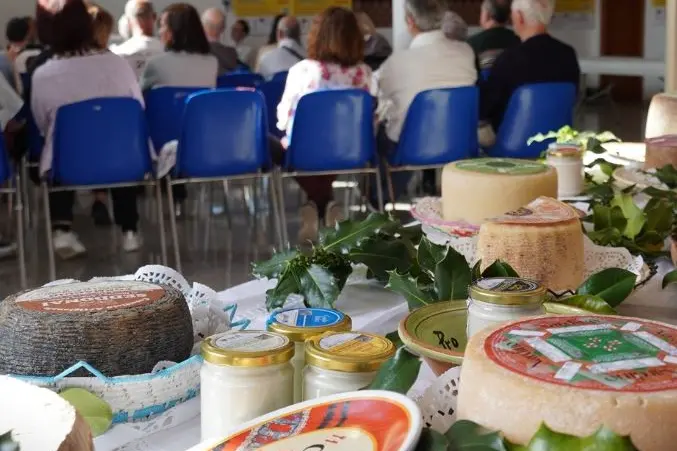 L'evento a Villanova Monteleone