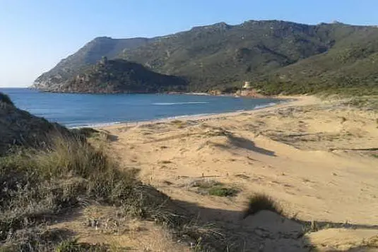 La spiaggia di Porto Ferro (L'Unione Sarda - Tellini)