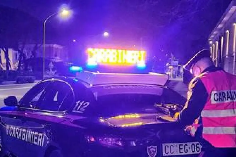 Carabinieri (foto Ansa)