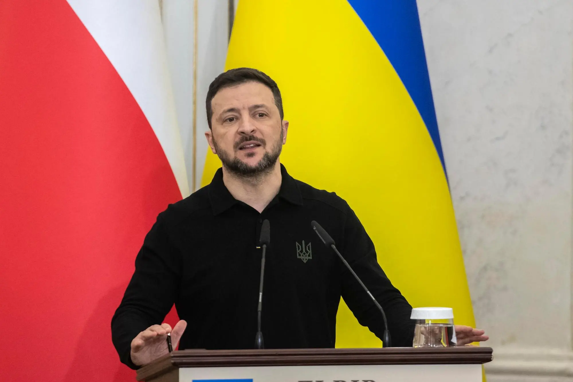 Volodymyr Zelensky (Ansa-Epa)