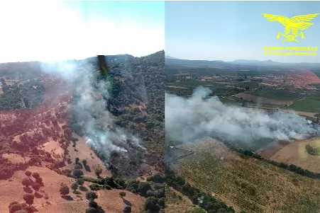 Gli incendi di Usini e Berchiddeddu (foto Corpo forestale)