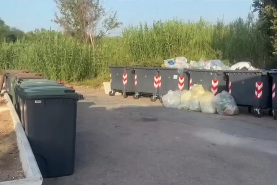 Un Cam a Olbia