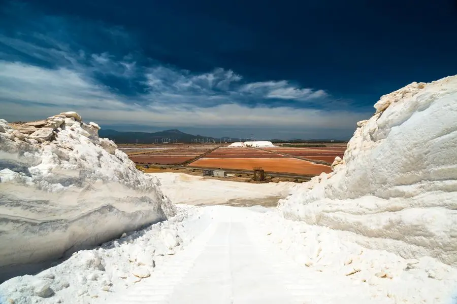 Le saline Conti Vecchi (foto @Fai)