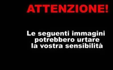 Italiano, 25 anni, fatale una caduta in discesa