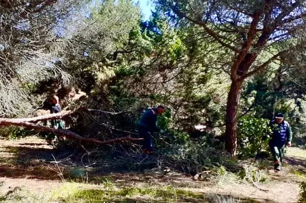 Gli operai di Forestas in azione (foto concessa)