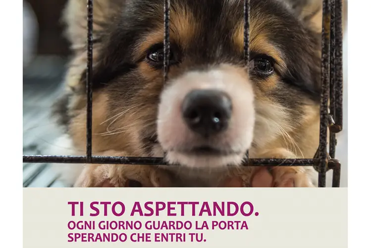 La locandina dell'iniziativa