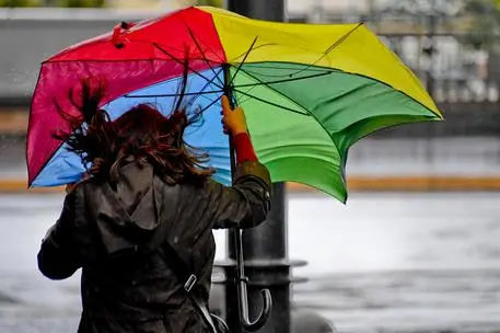 Una donna con l'ombrello (Ansa)