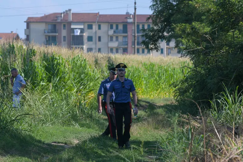 Carabinieri (Ansa)