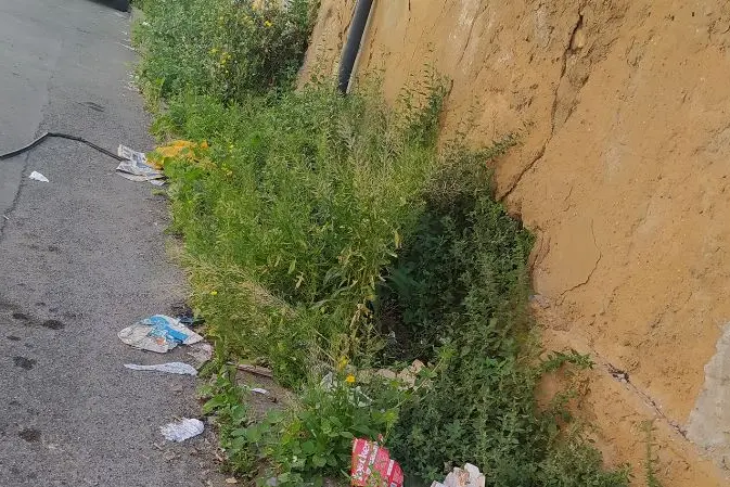 Erba ai bordi delle strade (foto Pala)