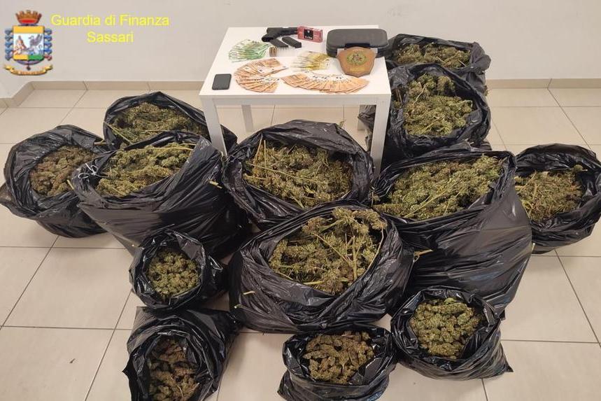 Oltre 26 kg di marijuana nella dependance dell’appartamento: Olbia, un uomo in manette