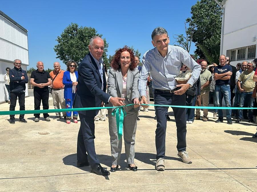 Inaugurato l’impianto per le mandorle bio