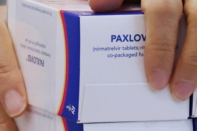 In arrivo in Sardegna “Paxlovid”, il farmaco anti-Covid di Pfizer. Nieddu: “Non sostituisce i vaccini”