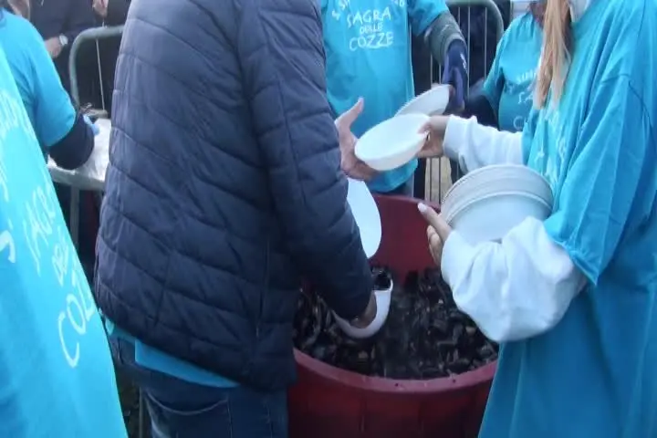 Olbia, prevista una stagione da record per le cozze: è l'agricoltura del golfo interno