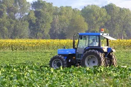 Agricoltura in una foto d'archivio