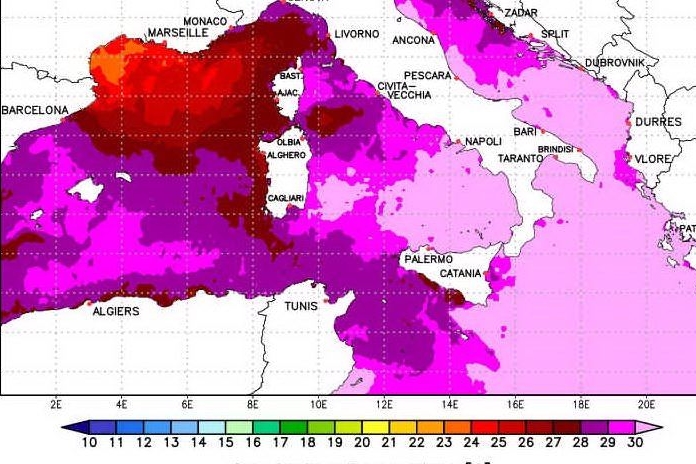 Le temperature marine attuali sul Mediterraneo