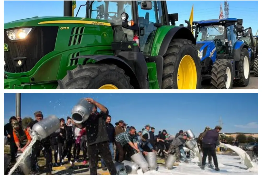 La protesta dei trattori e la guerra del latte (Ansa)