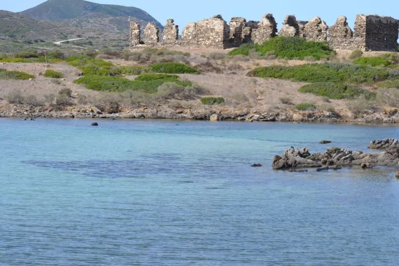 L'isola dell'Asinara (foto Pala)
