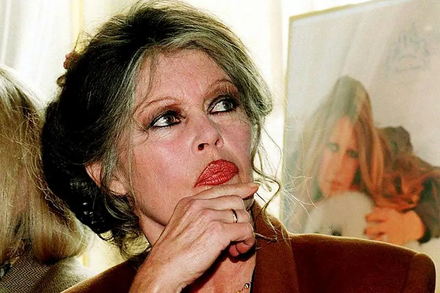 Brigitte Bardot (Ansa)