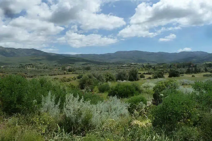 Il territorio di Dolianova