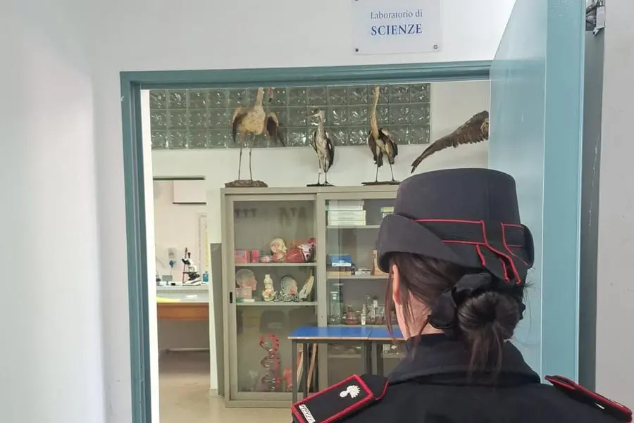 Carabinieri sul posto (foto cc)