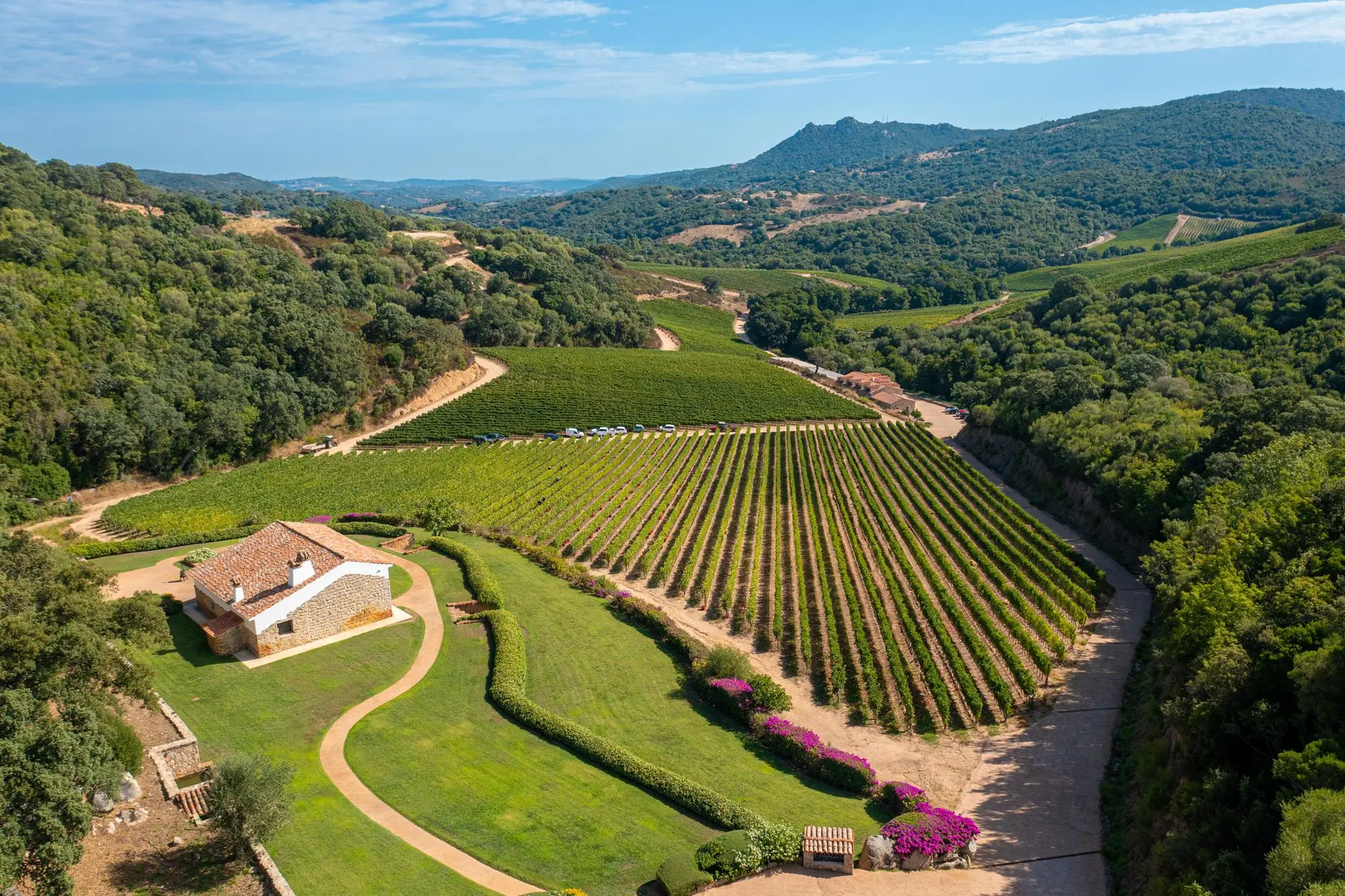 Una panoramica della Cantina Siddùra, a Luogosanto, in Gallura