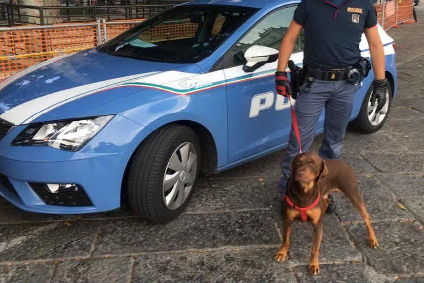 Cagliari: ubriaco, prende a calci il suo cane: denunciato