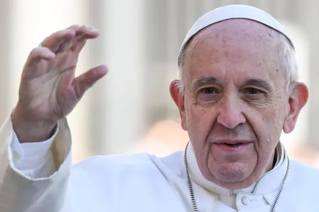 Papa Francesco (Ansa)