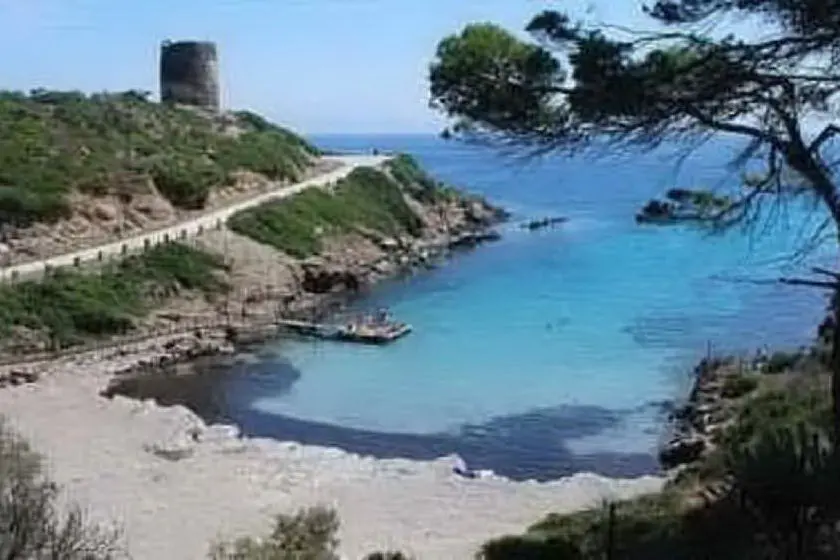 Il Parco dell'Asinara (Archivio L'Unione Sarda)