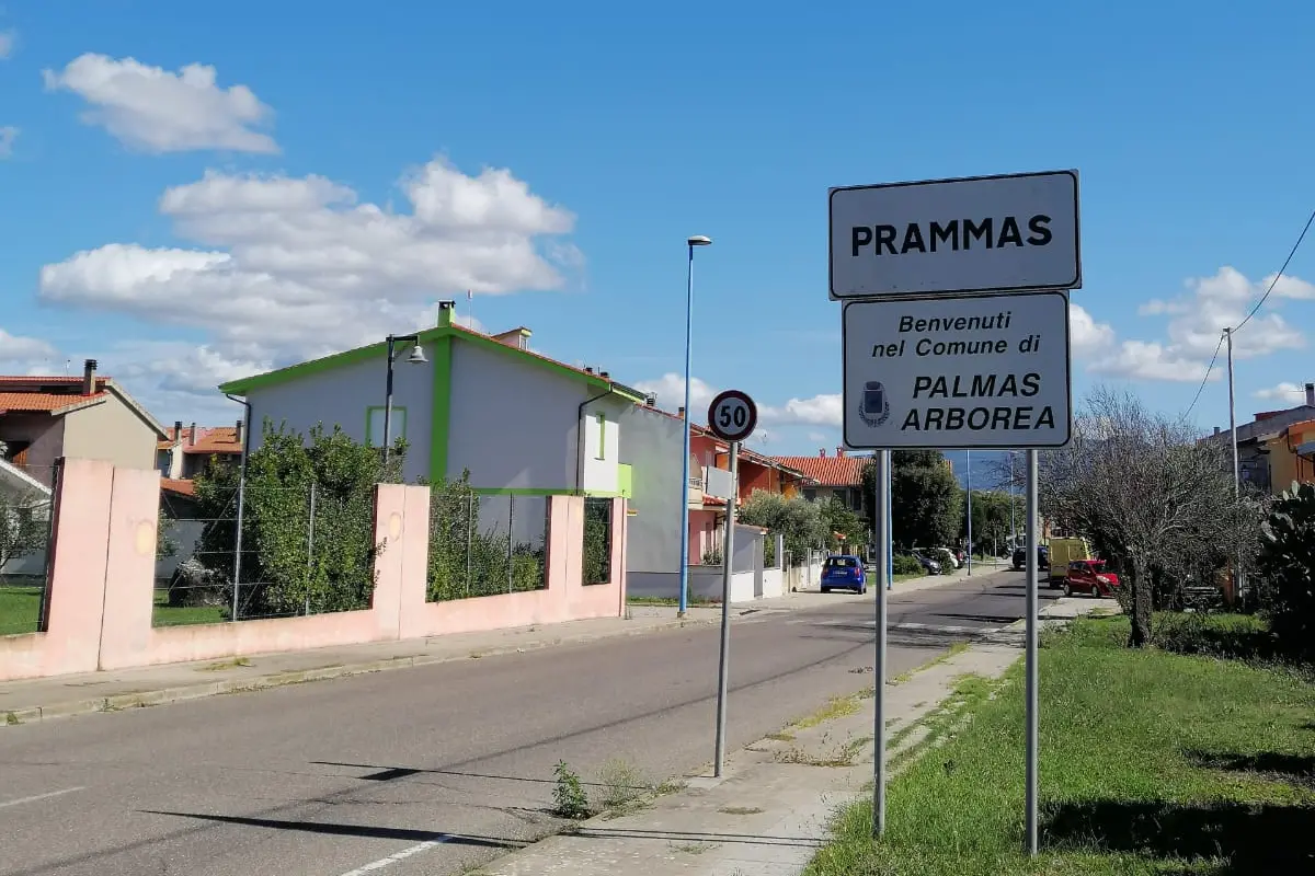Palmas Arborea (foto Pala)