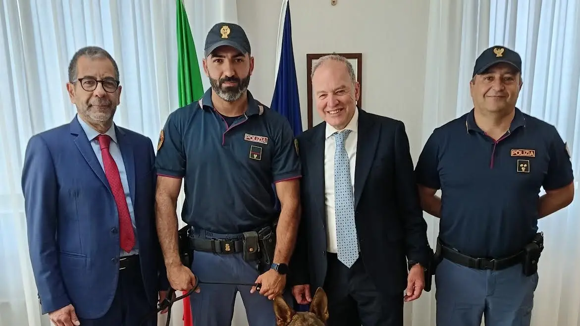 https://immagini.unionesarda.it/version/c:YmViYTlmMTYtZjQ1OS00:NjgzYjc4YWUtMmNhNy00/image.webp?f=16:9