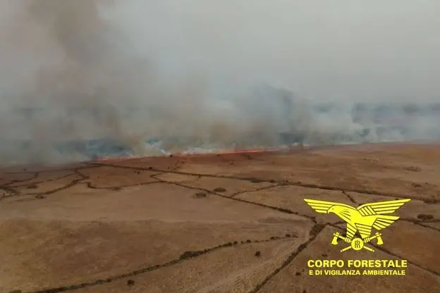 L'incendio a Borore (foto Corpo forestale)