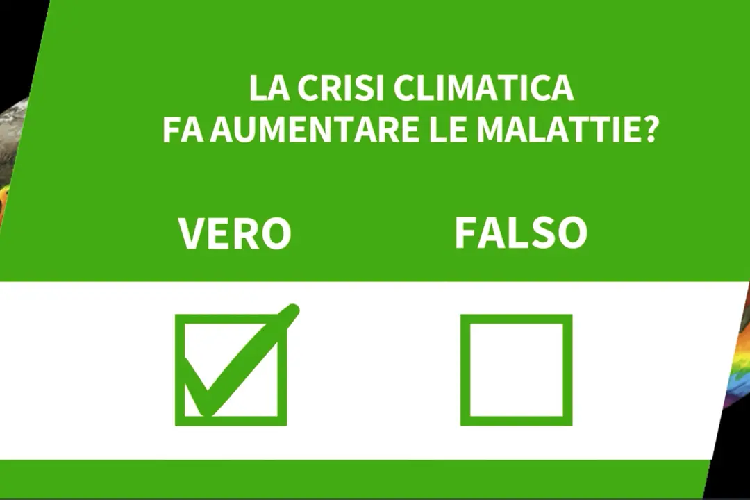 ANSA VERIFIED - E' vero che la crisi climatica fa aumentare le malattie?