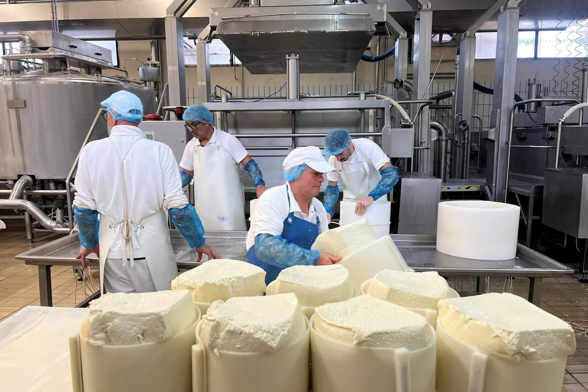 La fase di lavorazione del Pecorino romano, uno dei prodotti di punta dell’export sardo (Archivio)