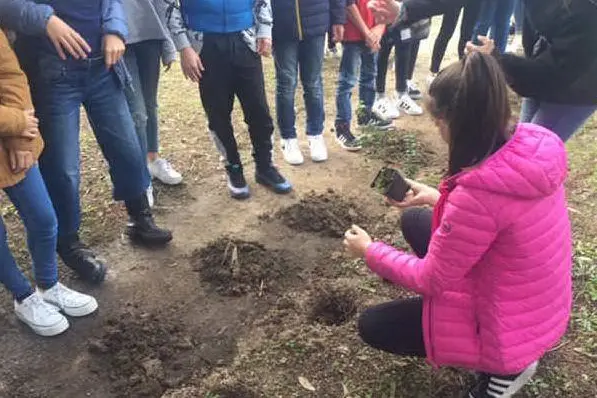 Una scolara mette a dimora una piantina di mirto (foto Elia Sanna)