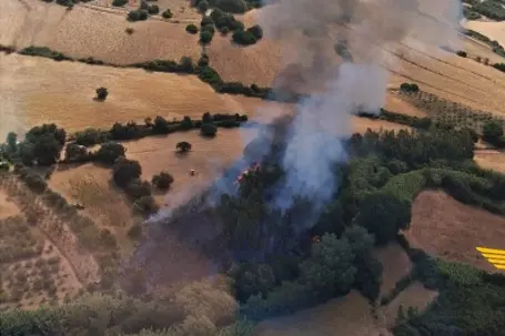 Incendio a Narcao