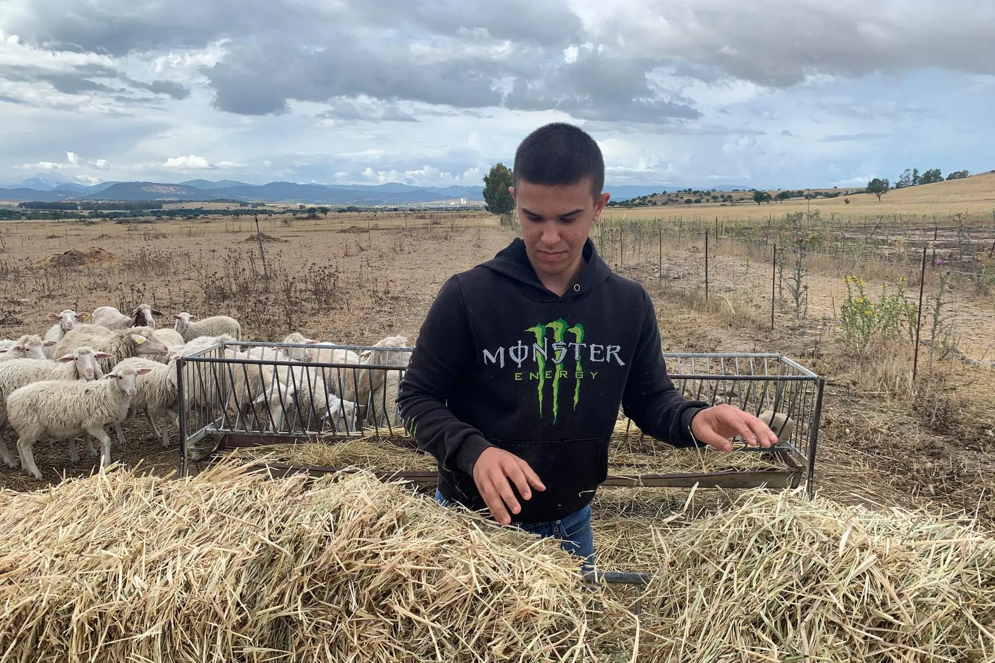 Un giovane allevatore di ovini nelle campagne di Ottana (foto Unione Sarda)