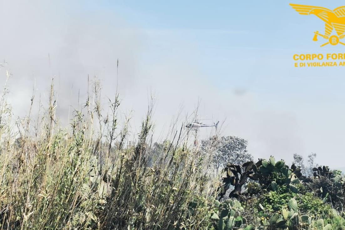 Incendio a Santa Giusta (foto Corpo forestale)