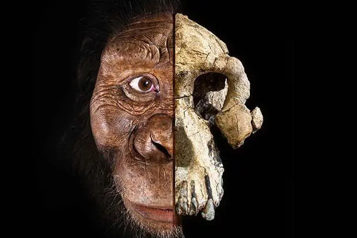 La ricostruzione facciale (foto da fb, Cleveland Museum of Natural History)