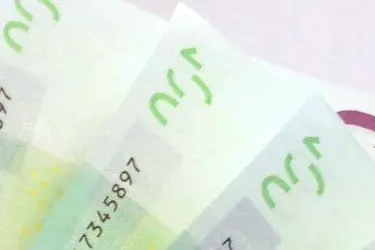 I debiti con le finanziarie ammontavano a 50mila euro