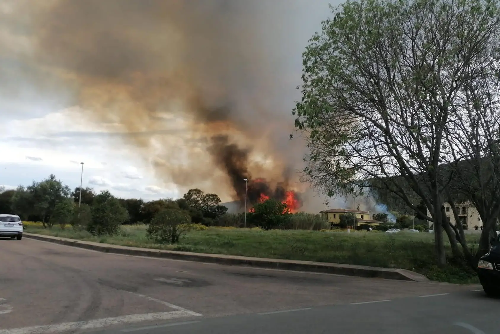 L'incendio a Tortolì (foto Secci)