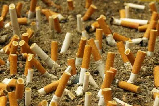 Sigarette in spiaggia (Archivio)