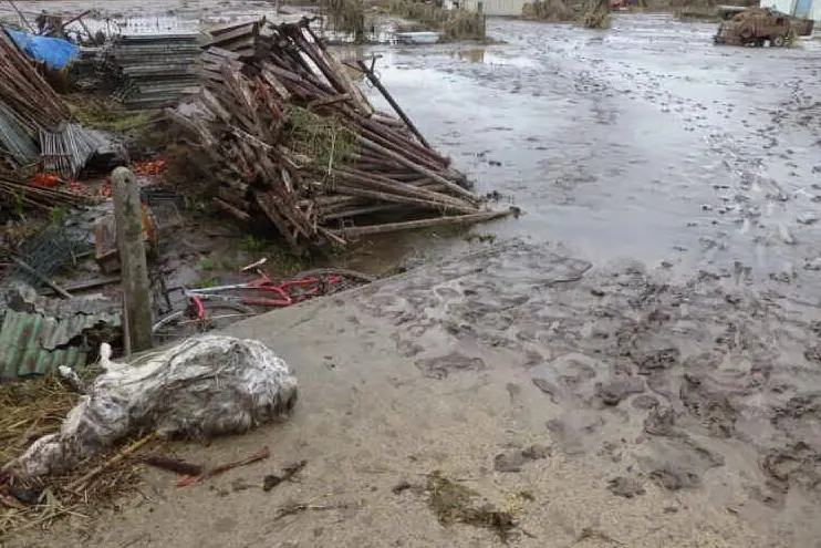 Il disastro provocato dall'alluvione