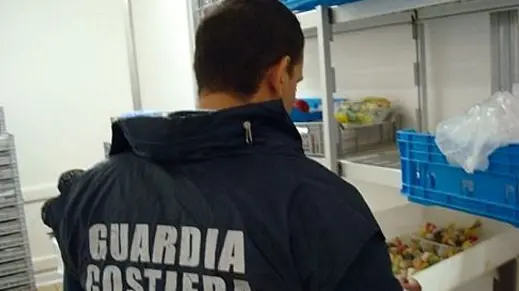 https://immagini.unionesarda.it/version/c:YzA0MGRjZTEtZDZmMi00:YjkwODQ0NjQtYzRhZC00/image.webp?f=16:9