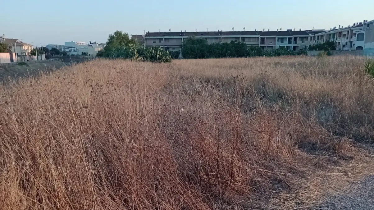 https://immagini.unionesarda.it/version/c:YzA0OTMwZjQtOTI0MS00:MTU3NTEyNmMtN2RiOS00/image.webp?f=16:9