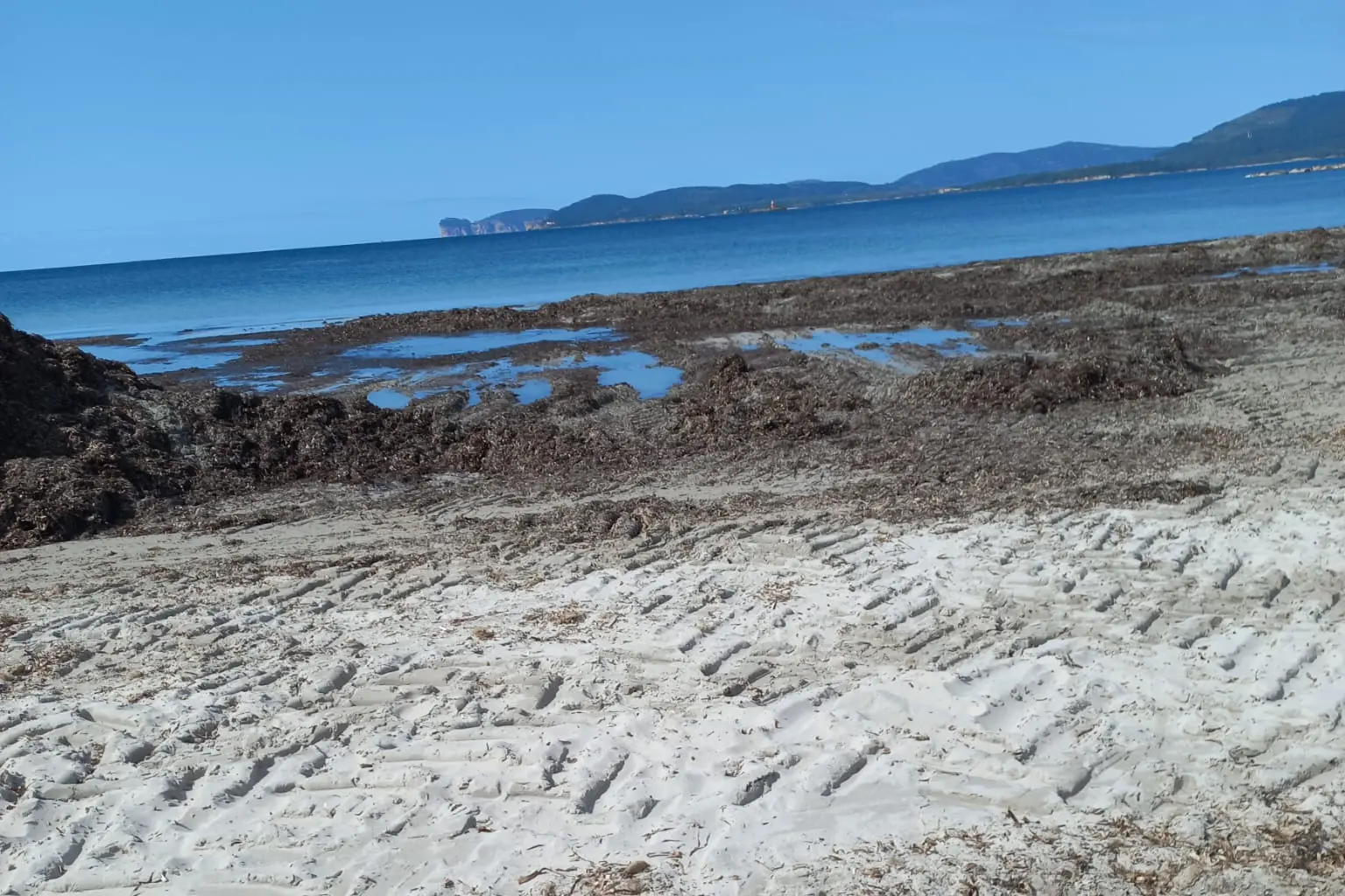 I segni del passaggio dei mezzi pesanti sul litorale di Alghero