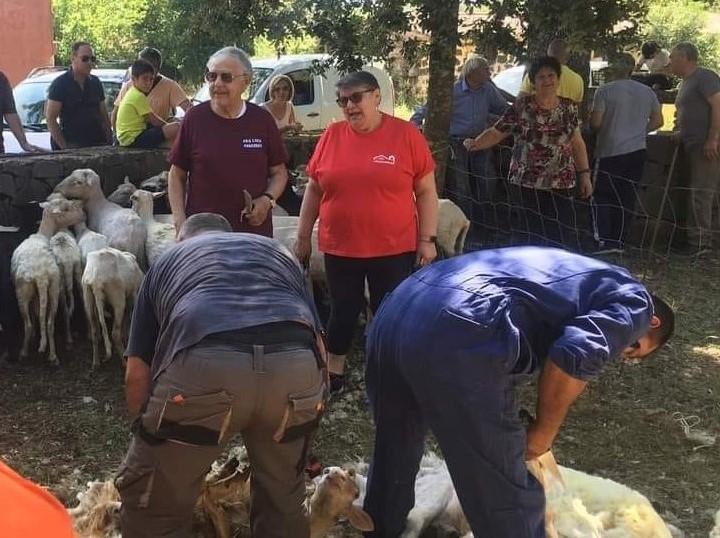 Abbasanta, si rinnova l'antico rito di 