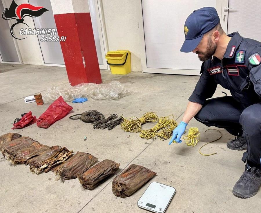 Esplosivo nascosto in campagna